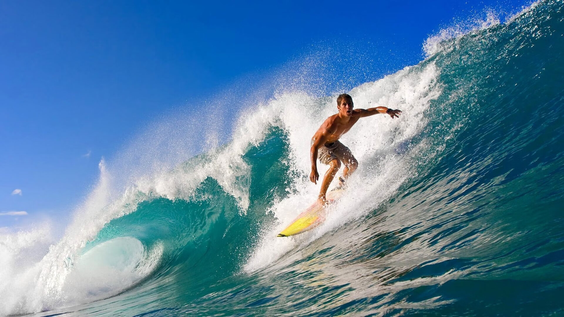 【比赛观看】如何分析高手攻防布局，提升观看体验？，攻防教程